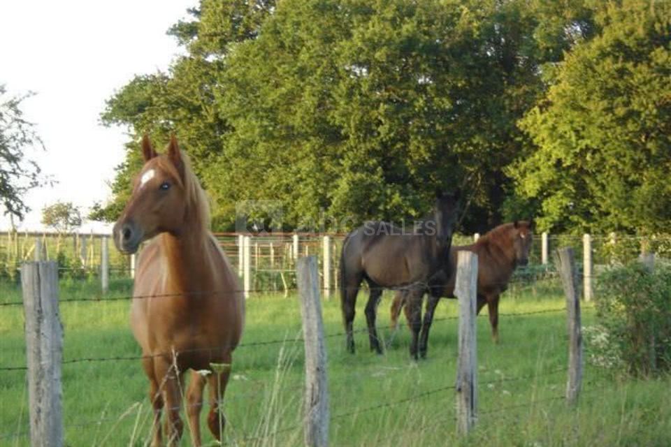 Relais Sainte Catherine