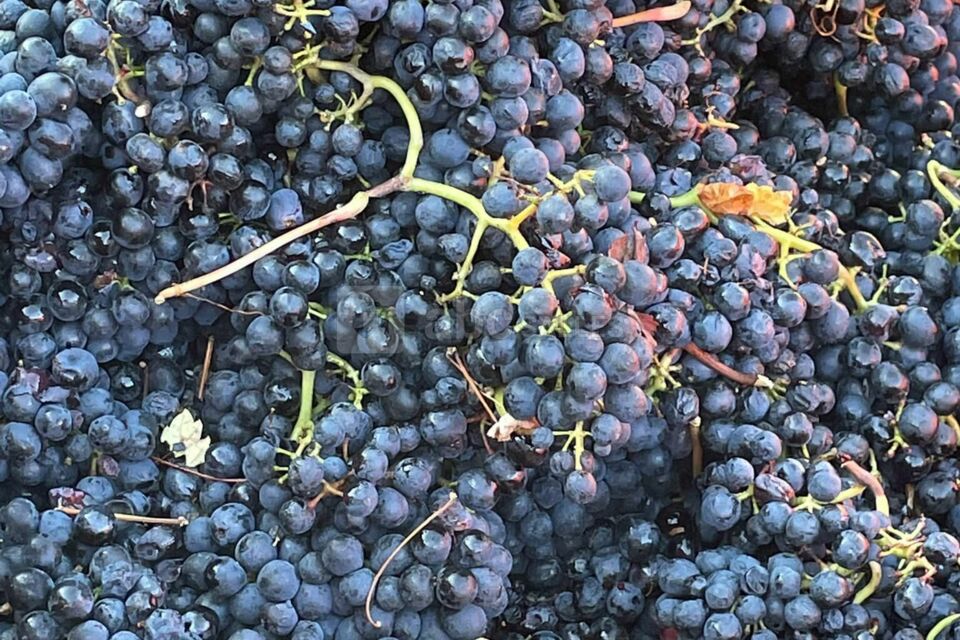 Auberge Aux Trois Tilleuls