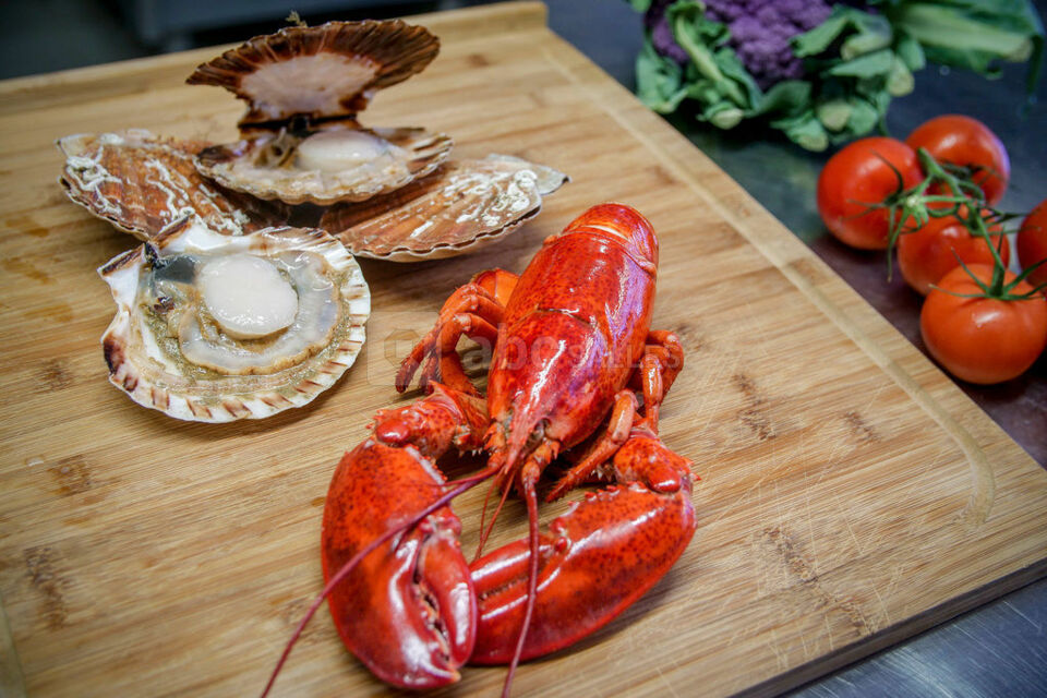 Hôtel Pullman Bordeaux Lac