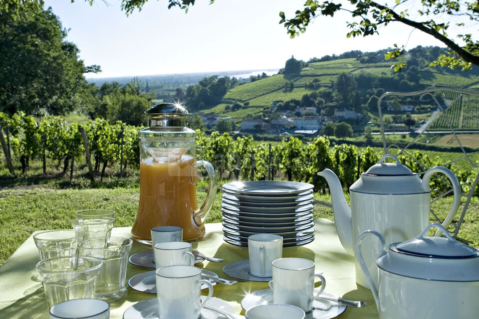 Brunch en nature le matin