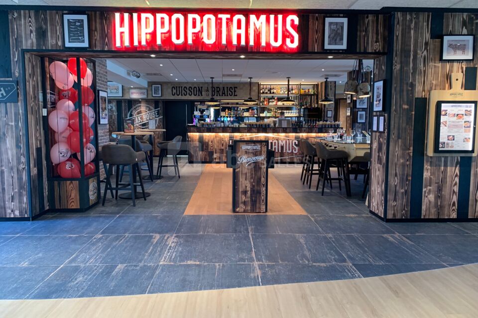 Hippopotamus