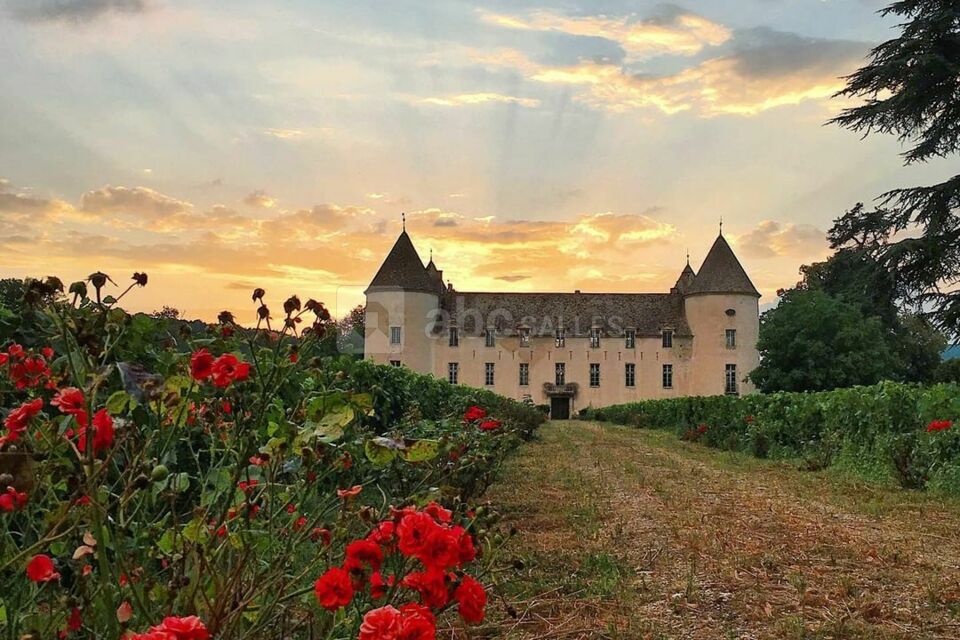 Château de Savigny-lès-Beaune