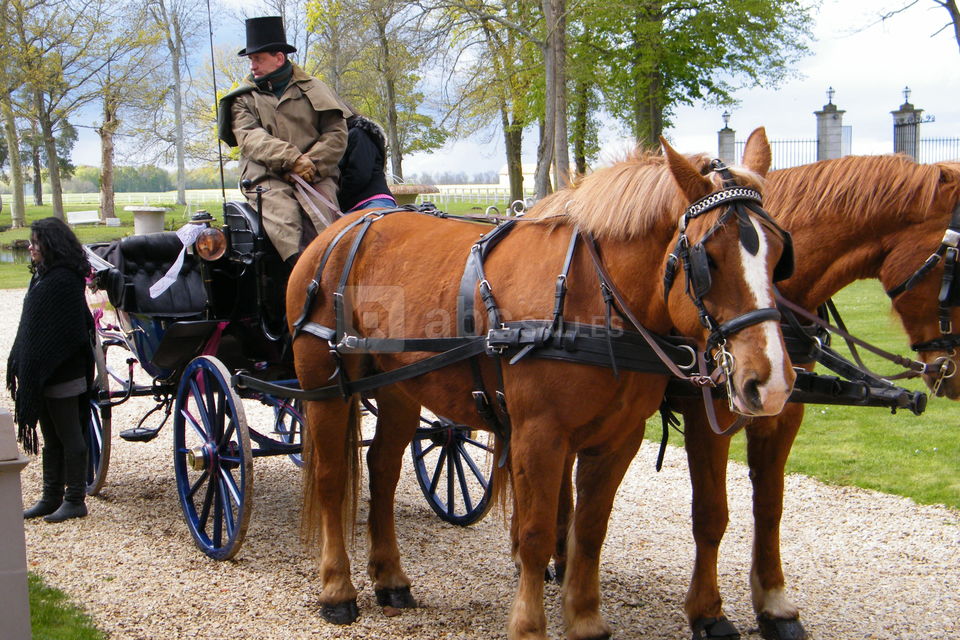 Domaine du Château de la Plumasserie