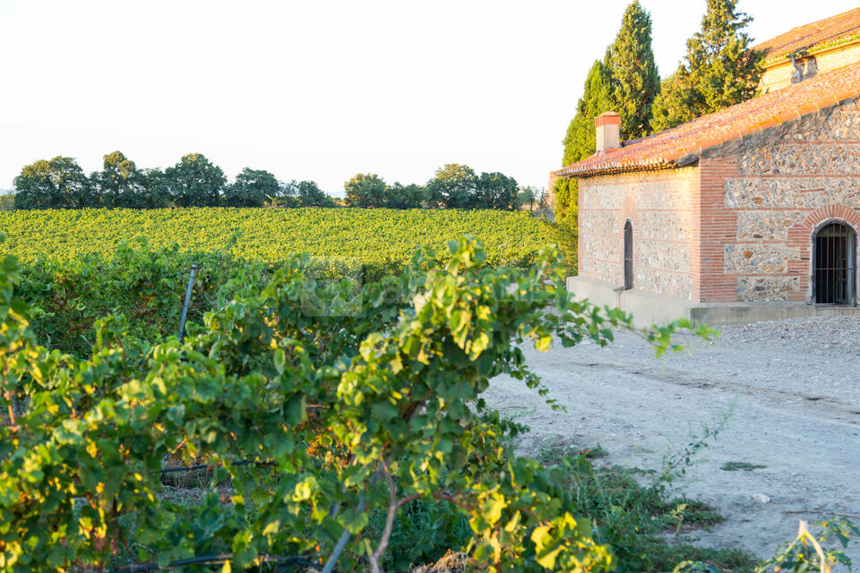Château Saint Nicolas