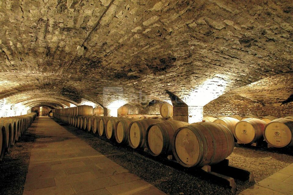 Château de Chassagne-Montrachet