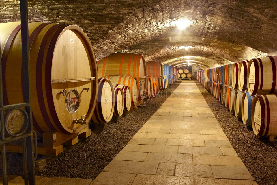 Cave du 14ème siècle
