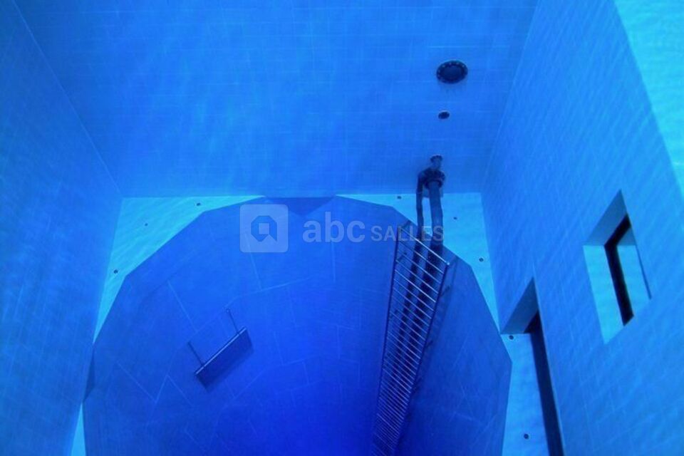 Nemo33