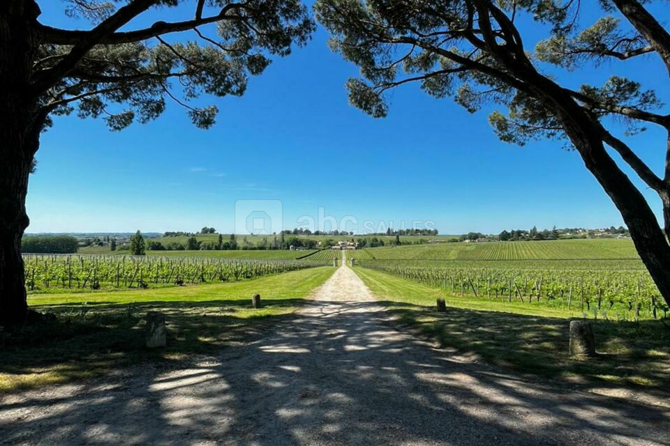 VUE IMPRENABLE SOUS LES PINS PARASOL AVEC COUCHER DU SOLEILE PARFAIT POUR PHOTO DE COUPLE