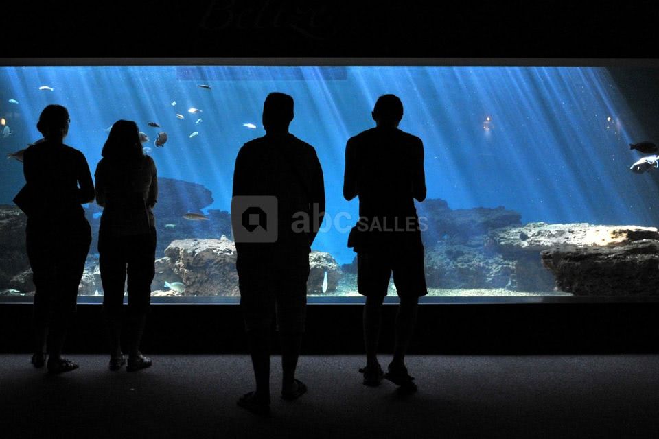 Un univers apaisant et porteur de sens