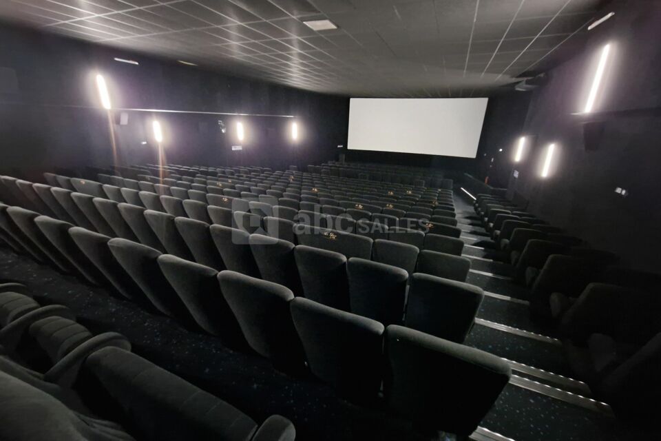 Salle 5, vue salle, 366 places