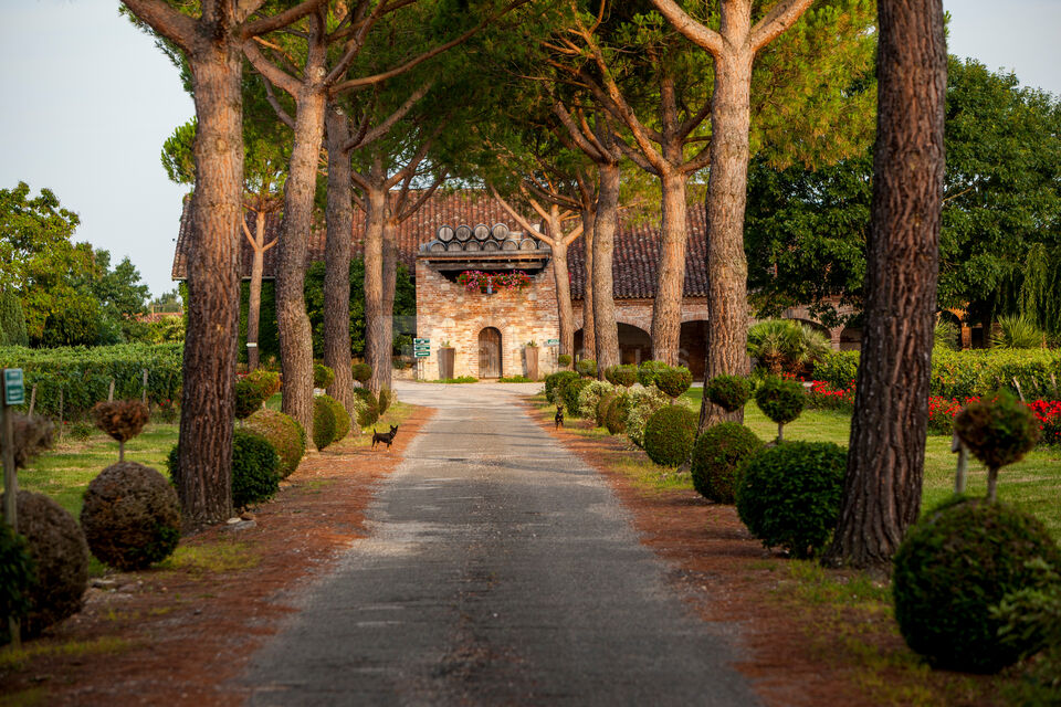 Allée