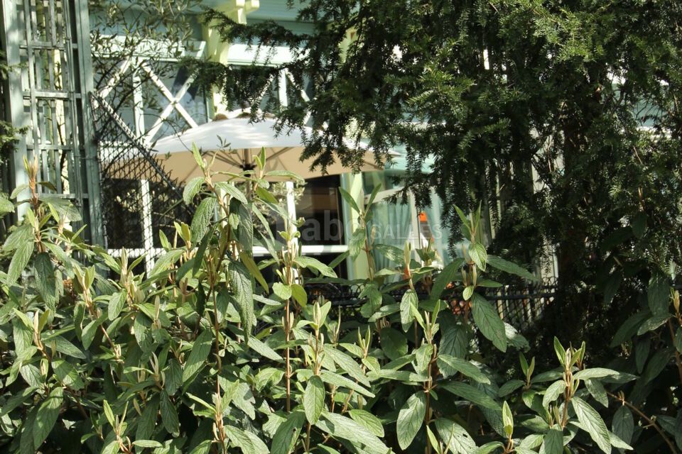 Le Chalet du Lac