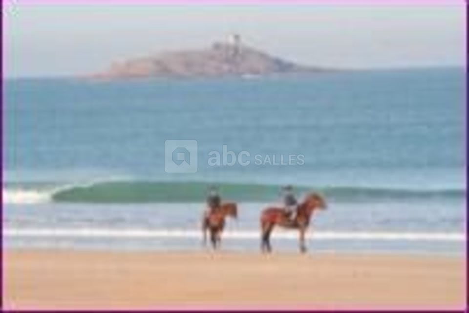 Promenade à cheval à saint michel