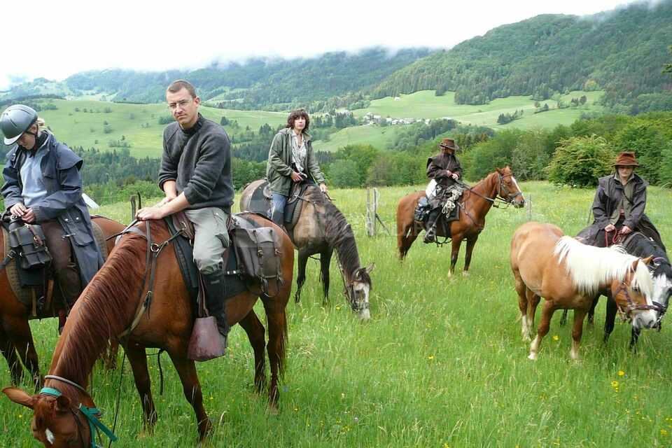 Equitation