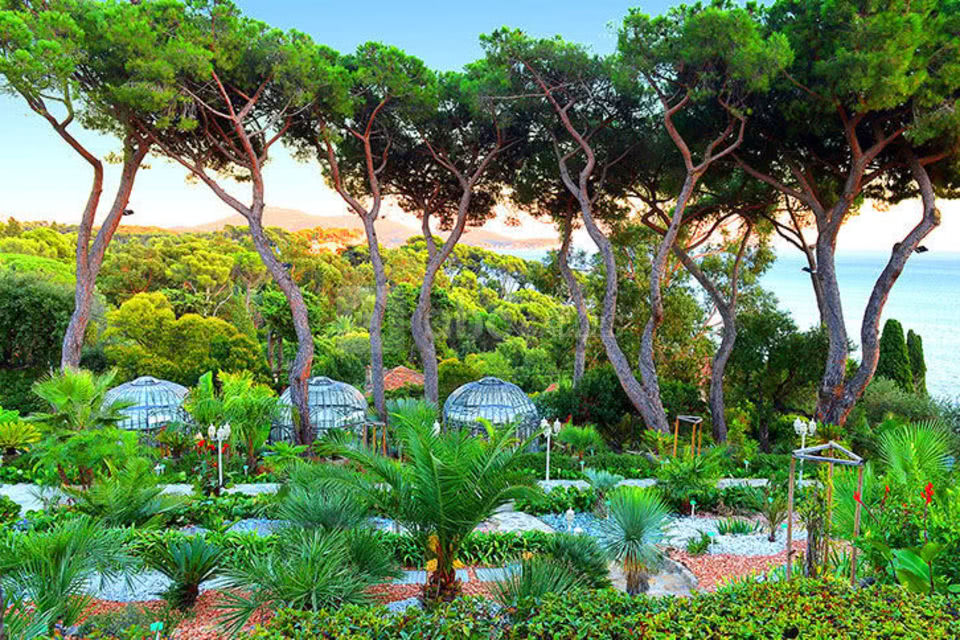 Les Pins Penchés