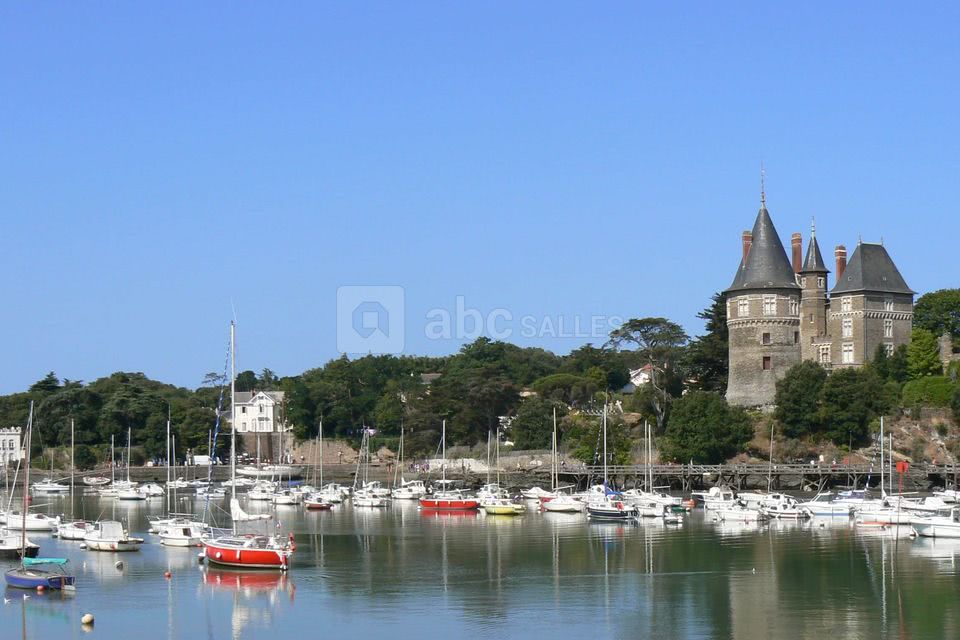 Le vieux port et son château