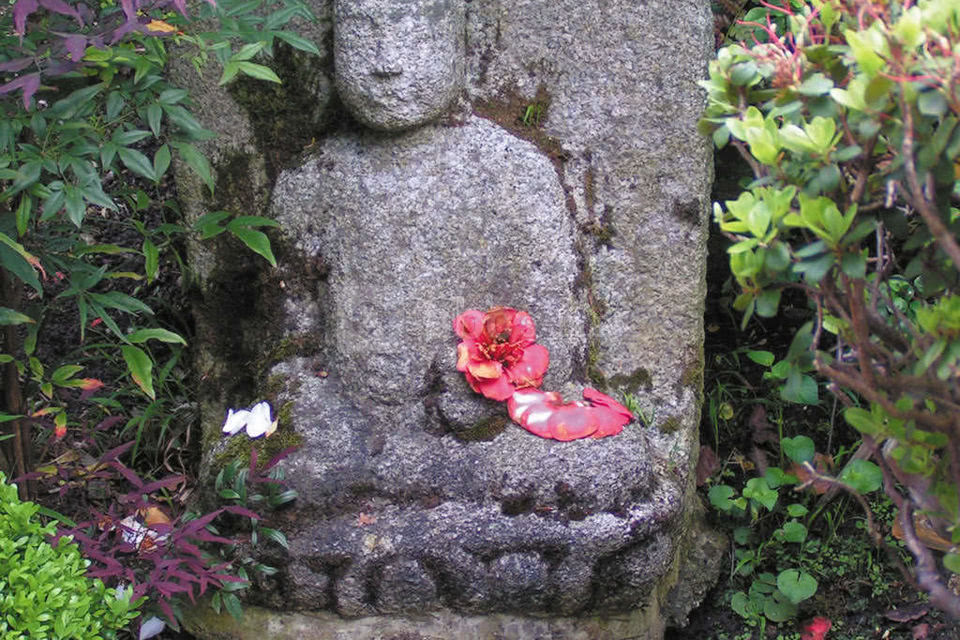 L'oeuf à la coque...on s'y sent bien,on y est zen