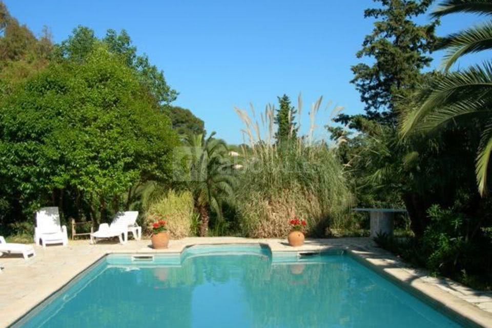 Vue piscine arborée
