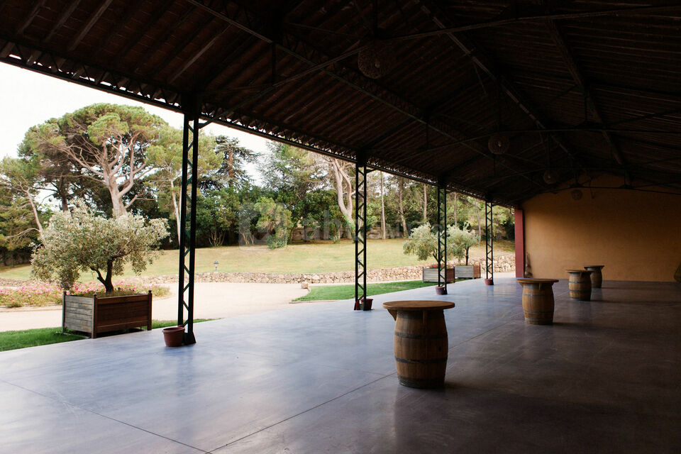 Domaine Bellavista