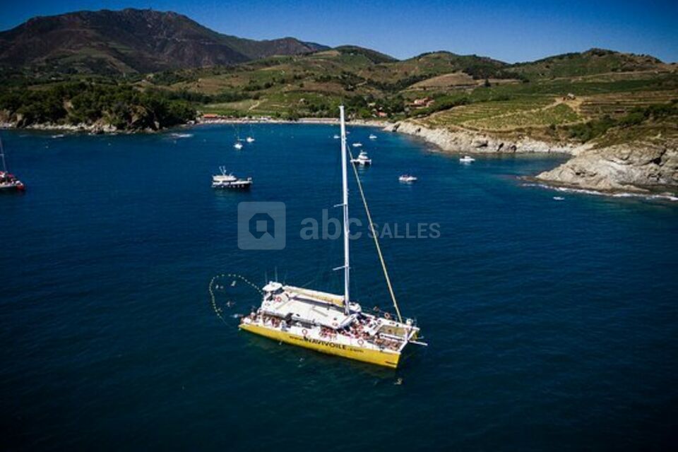 Catamaran Navivoile
