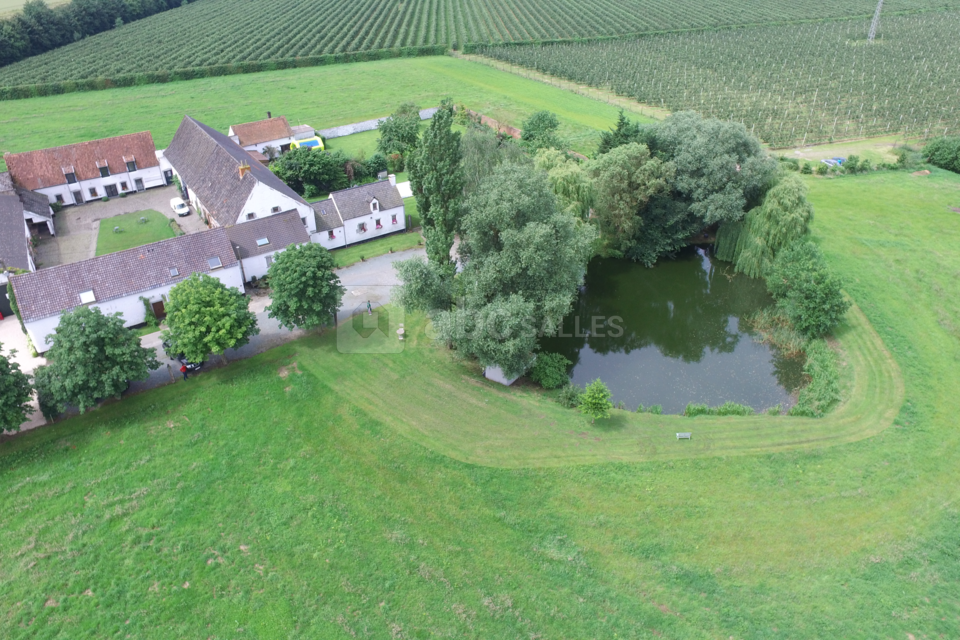 Ferme du Grand Spinois