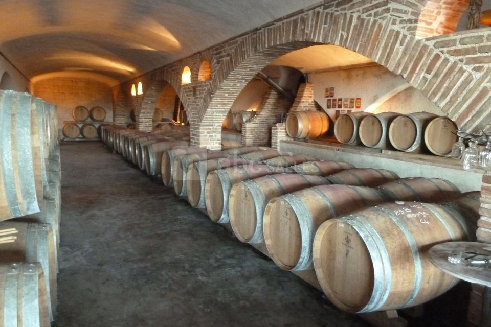 Visites de chais