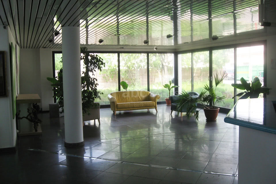 Salle bronzino