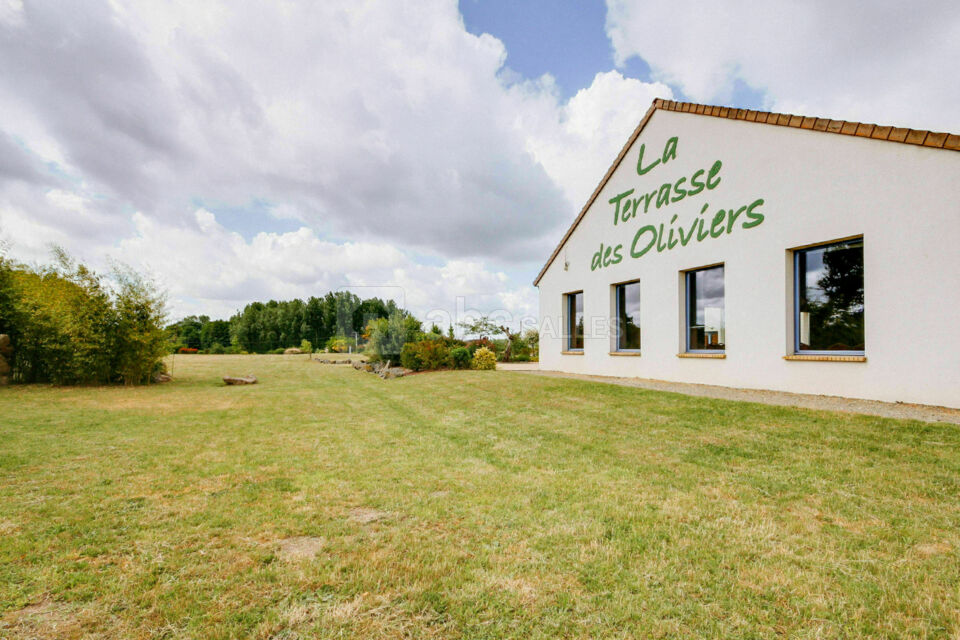 Domaine La Terrasse des Oliviers