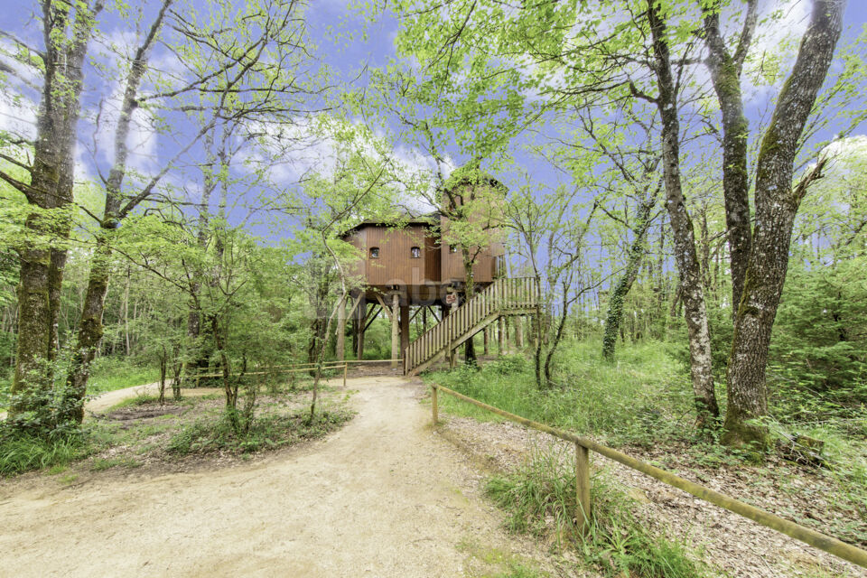 Manoir dans les Arbres