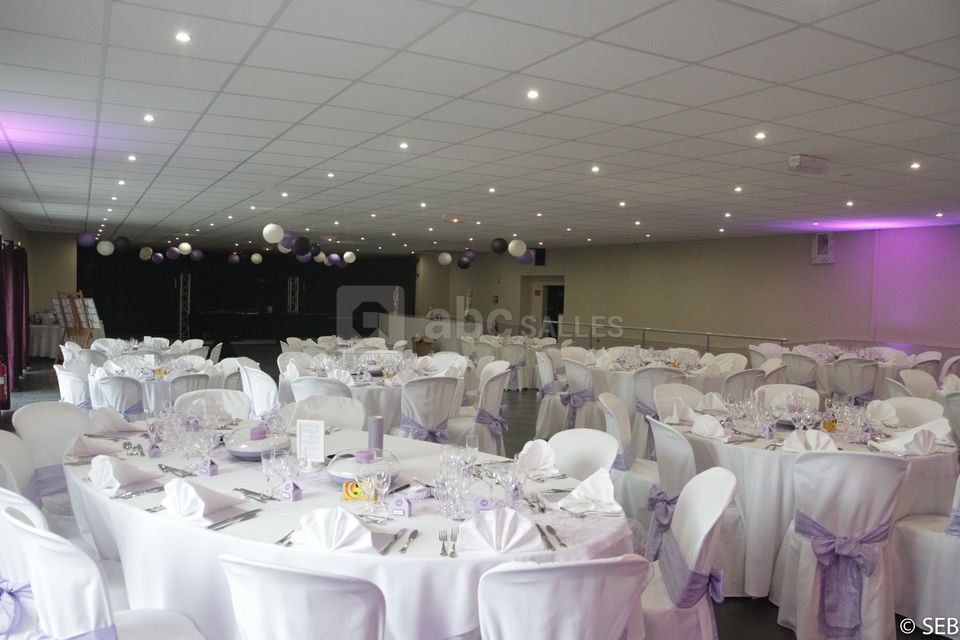 Les Salons du Château