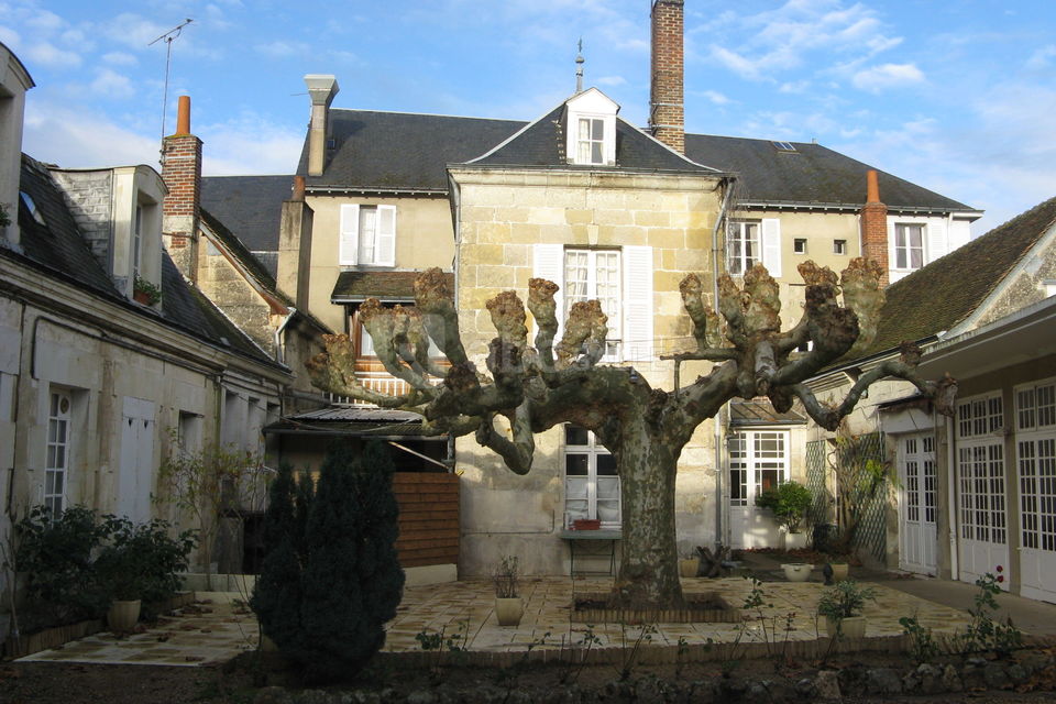 Cour intérieure-hiver