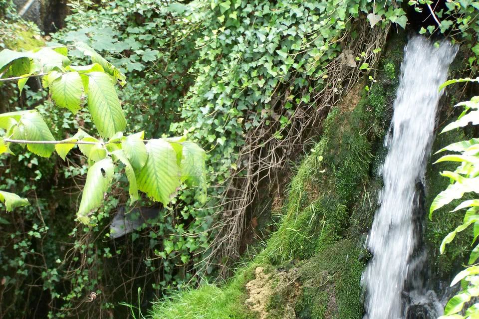 L'auberge des Moulins