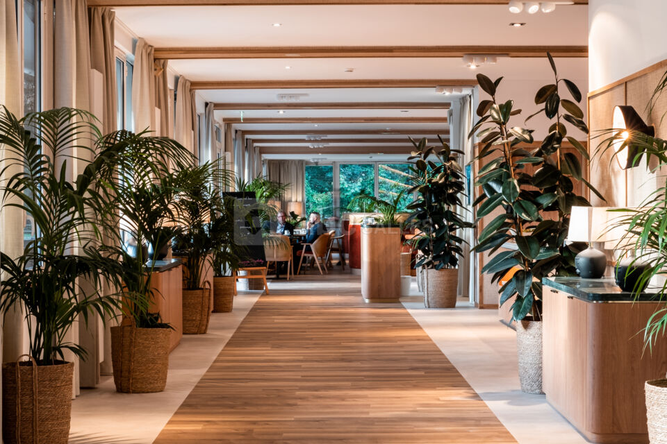 Best Western Hôtel l'Orée et Spa