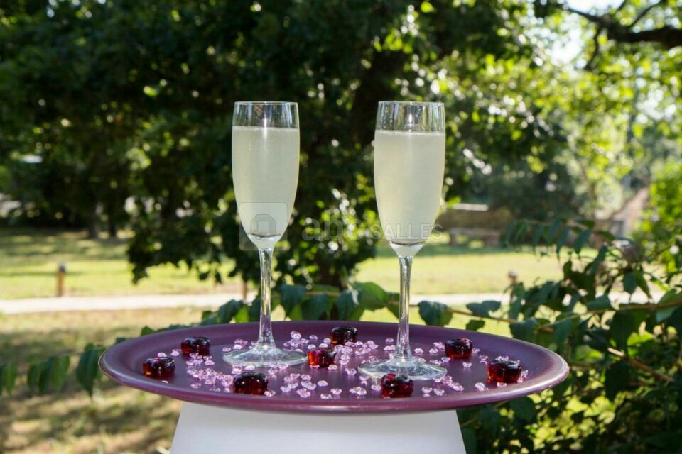 Verres plateau