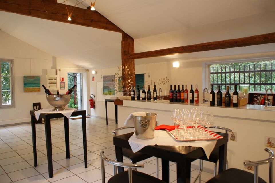 Château de la Tuilerie