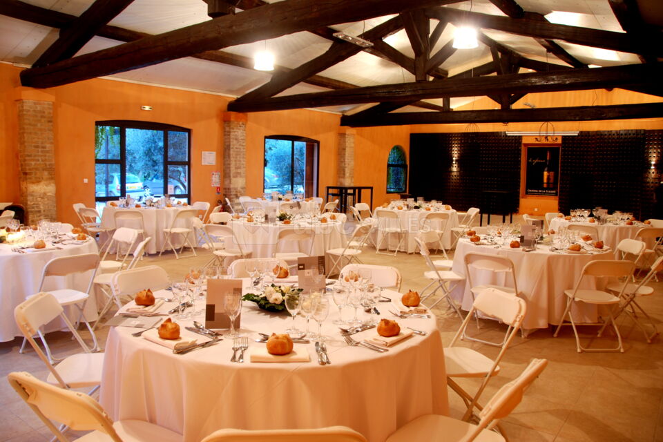 Château de la Tuilerie