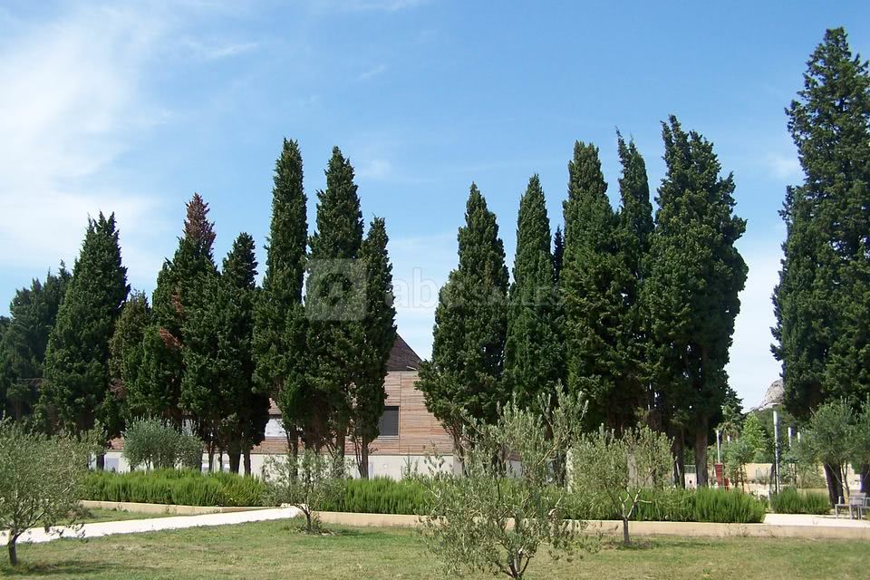 Agora Alpilles
