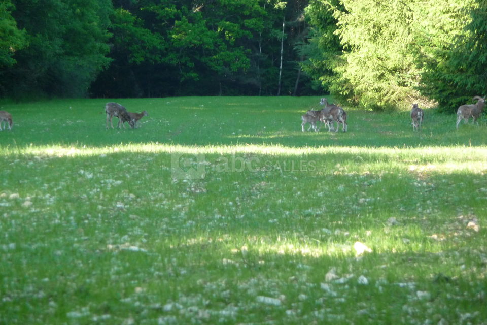 Le parc