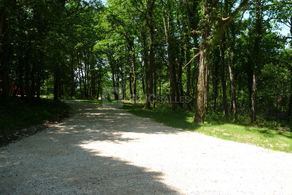 Les chemins de randonnee