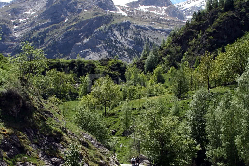 Randonnée en montagne