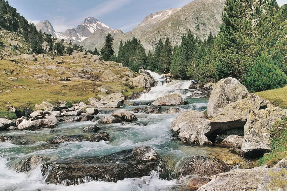 Un gave pyrénéen