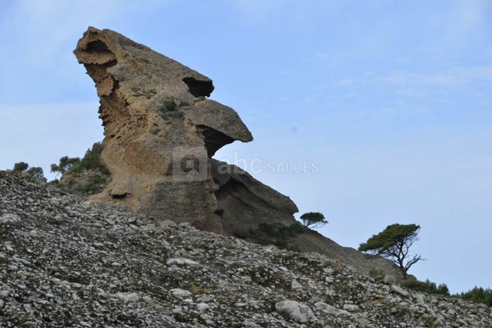 La Calanque de Figuerolles - Chez Tania