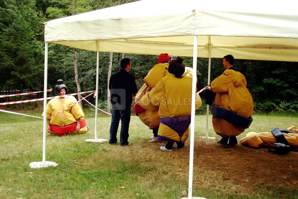 Château de Chambiers