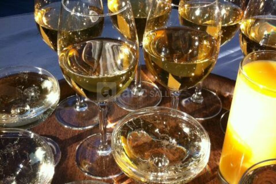 Les Croisières Saboliennes