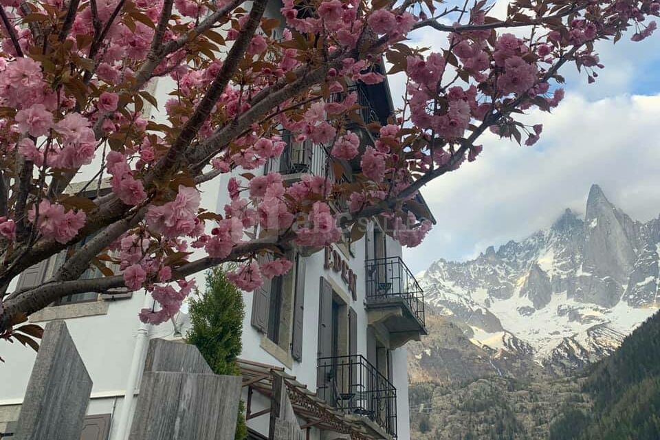 Hôtel Eden
