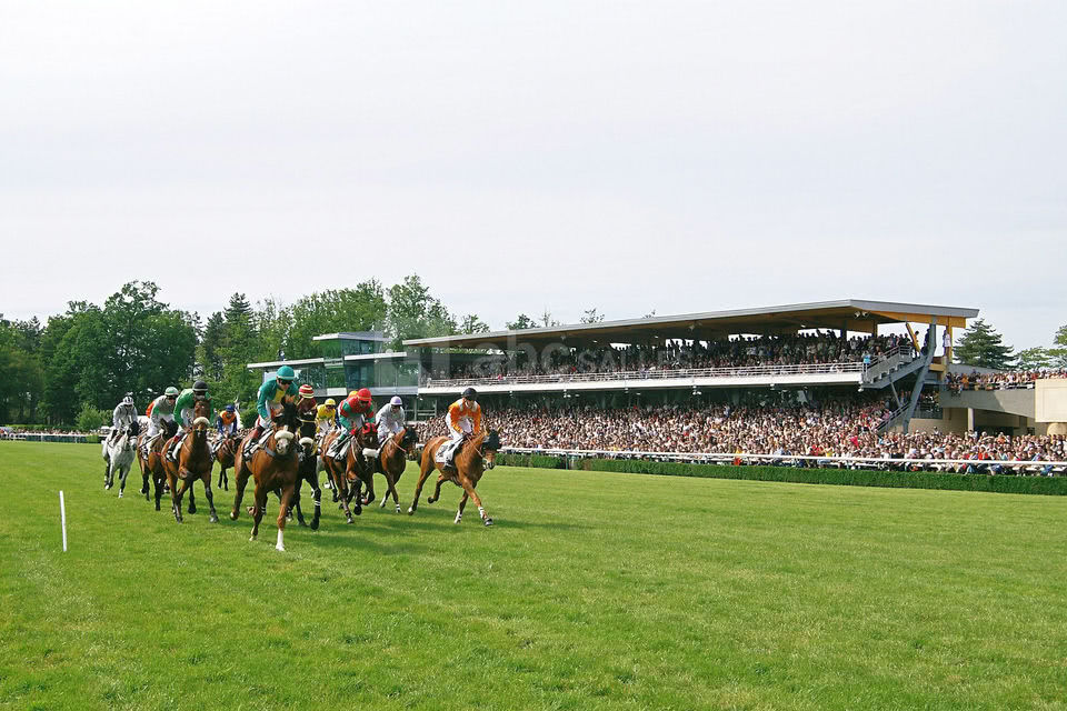 Hippodrome de l'Isle Briand