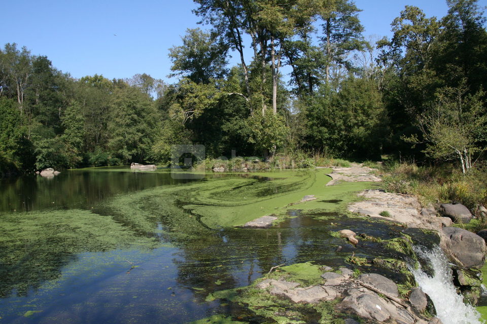 Le Logis de l'Aubonnière
