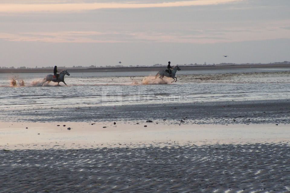 A pied ou à cheval, les joies de la plage