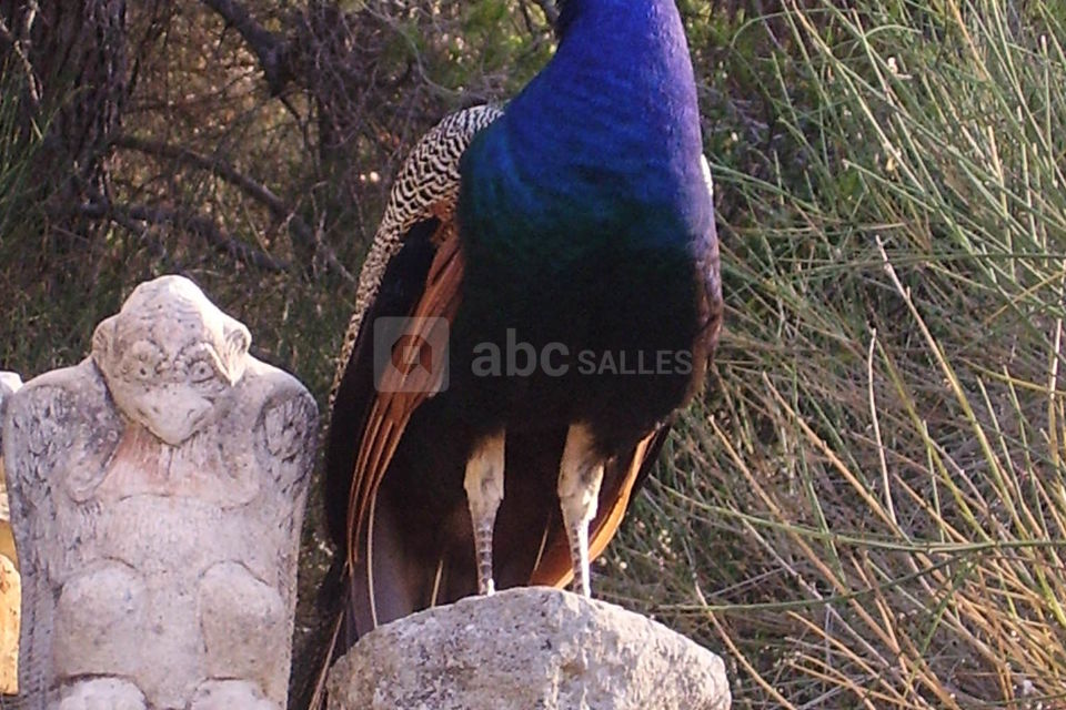 Le Vallon de Gerbaud