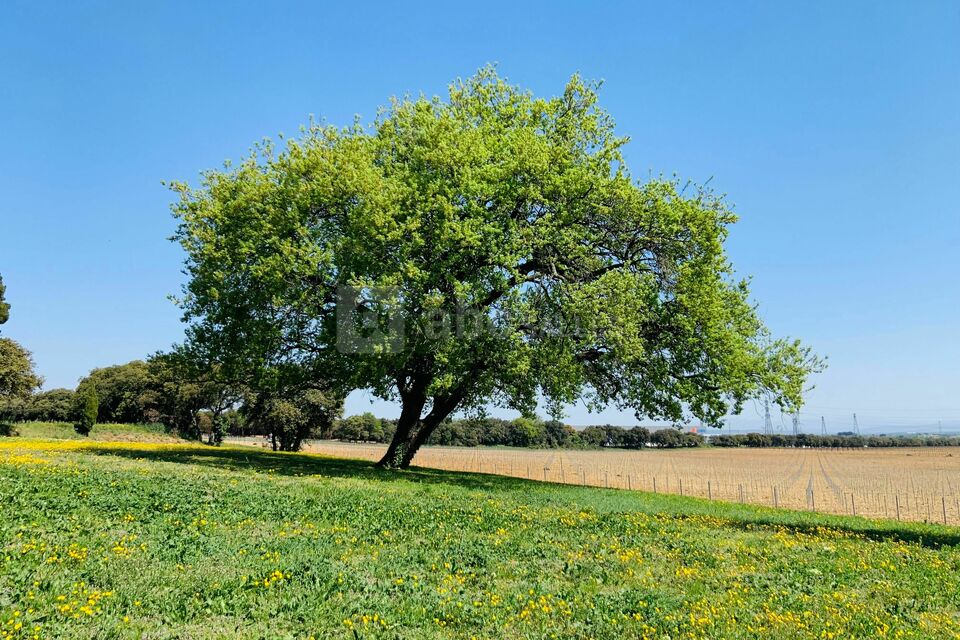 Château Saint Maurice